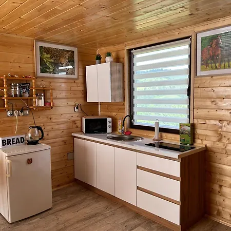 Domek Caloroczny Holiday home Niedzwiedz (Limanowa)